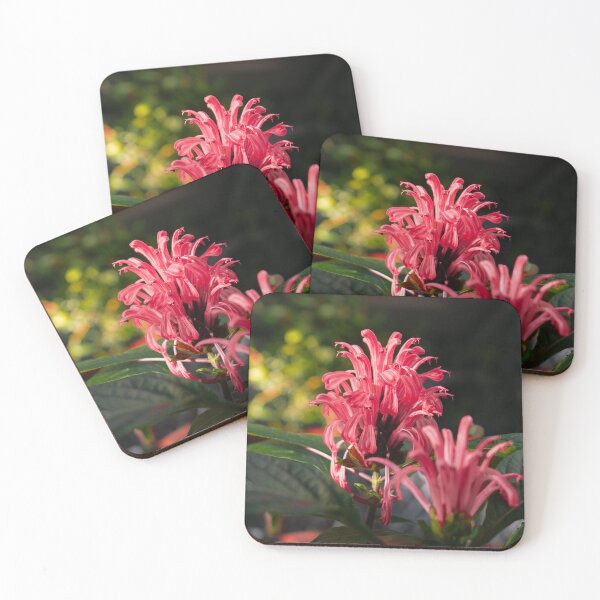 Item preview, Pink flowers at winter garden designed and sold by DPVisualsLV.