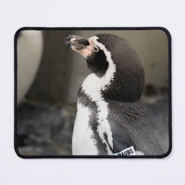 Item preview, Penguin close-up at his house designed and sold by DPVisualsLV.