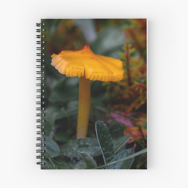 Item preview, Yellow mushroom at forest designed and sold by DPVisualsLV.