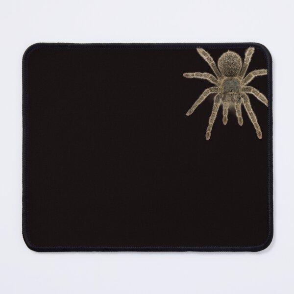 Item preview, Curly Hair Tarantula – Realistic Exotic Spider PNG designed and sold by Pocket of Treasures.