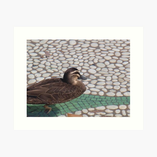 Item preview, duck designed and sold by sharon Wingard.