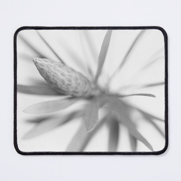 Item preview, New cone. designed and sold by Paul Pasco.