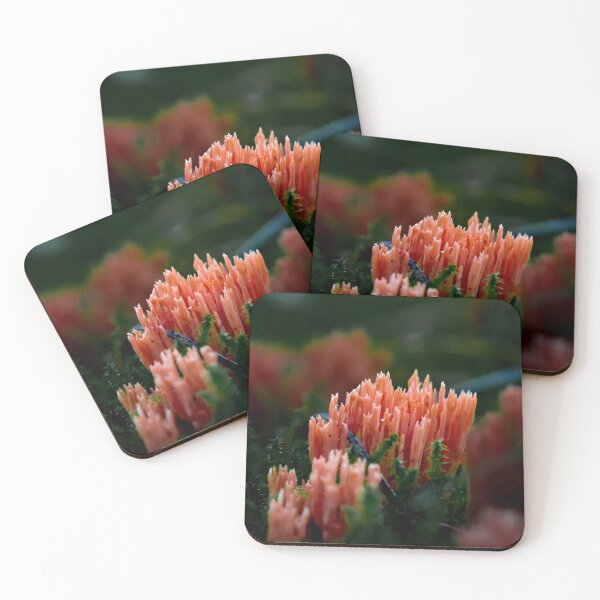 Item preview, moose at Lithuanian forest designed and sold by DPVisualsLV.