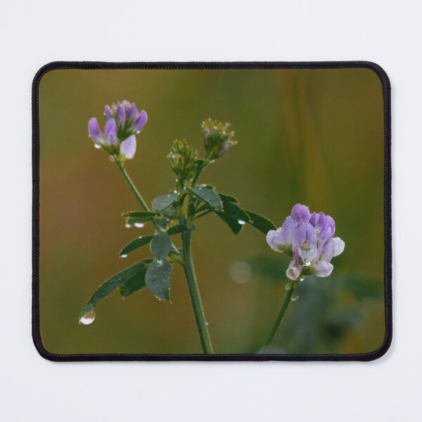 Item preview, Green grass with violet flowers designed and sold by DPVisualsLV.