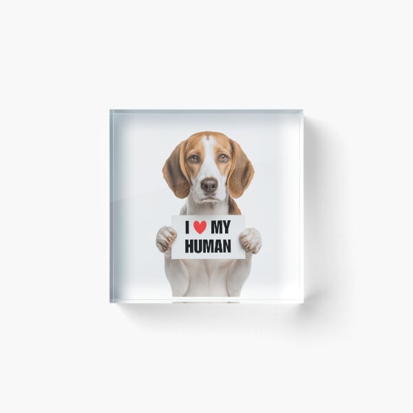 Item preview, Cute American Foxhound dog with Signboard I love my Human  designed and sold by LazyOwlStore.