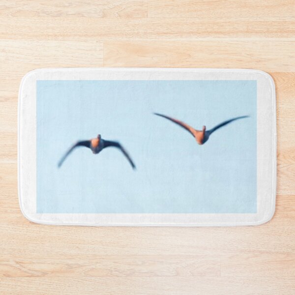 Item preview, Birds designed and sold by DjeriK.