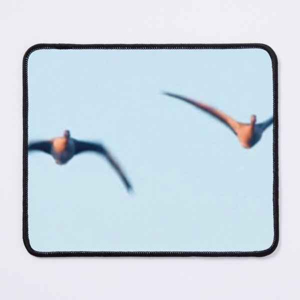 Item preview, Birds designed and sold by DjeriK.