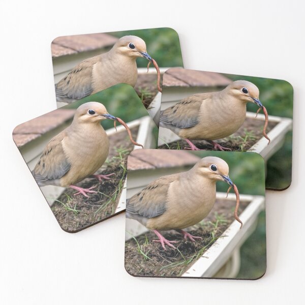 Item preview, Mourning Dove Perched On a House Gutter With a Worm designed and sold by Maria Dryfhout.