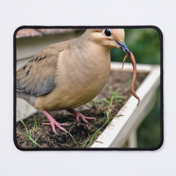 Item preview, Mourning Dove Perched On a House Gutter With a Worm designed and sold by Maria Dryfhout.