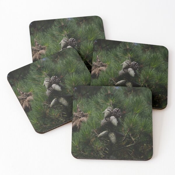 Item preview, Pine designed and sold by picturesources.