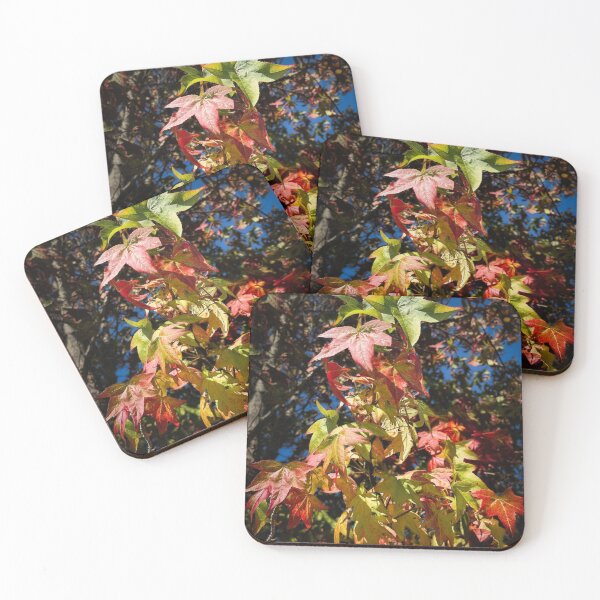 Item preview, Seasonal Disorder designed and sold by Steve Walser.