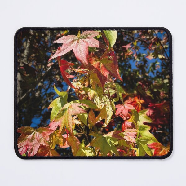 Item preview, Seasonal Disorder designed and sold by Steve Walser.