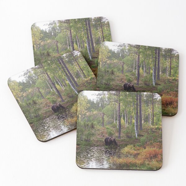 Item preview, When the rain falls. Brown bear 2025 designed and sold by Jouko Lehto Photography.