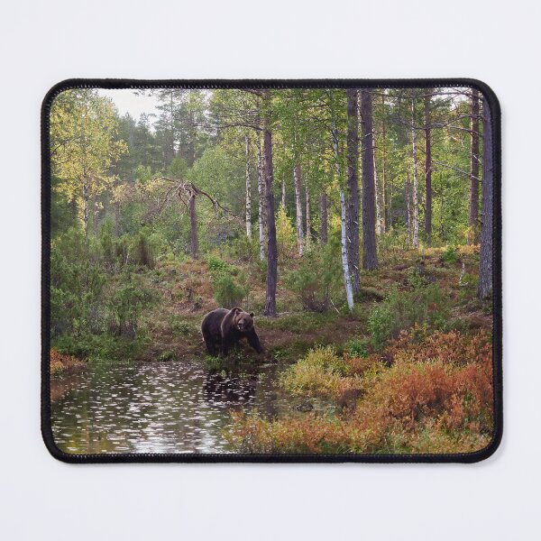 Item preview, When the rain falls. Brown bear 2025 designed and sold by Jouko Lehto Photography.