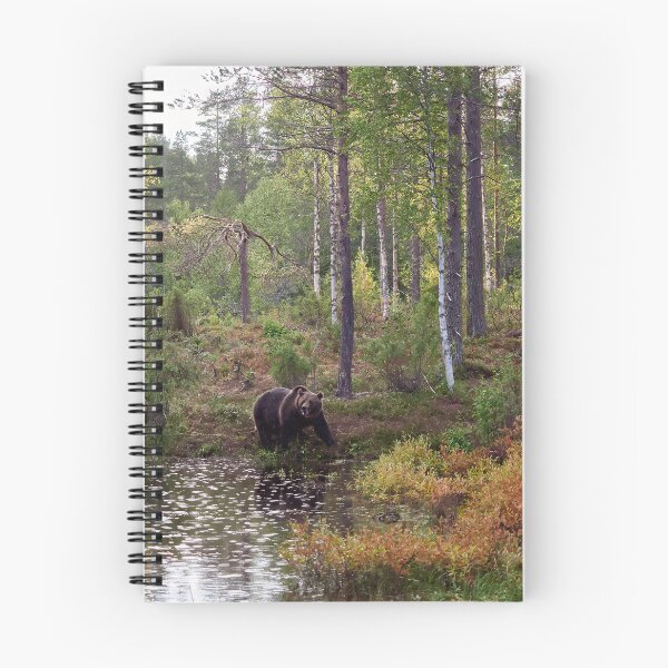 Item preview, When the rain falls. Brown bear 2025 designed and sold by Jouko Lehto Photography.