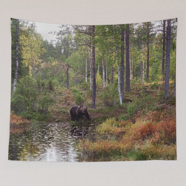 Item preview, When the rain falls. Brown bear 2025 designed and sold by Jouko Lehto Photography.
