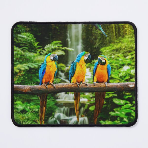 Item preview, Macaws designed and sold by Trends Art Creations .