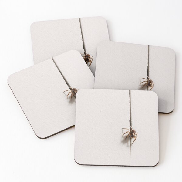 Item preview, Spider designed and sold by Conteceres.