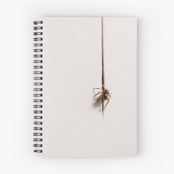 Item preview, Spider designed and sold by Conteceres.