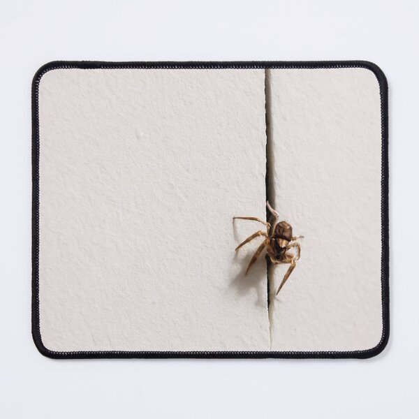 Item preview, Spider designed and sold by Conteceres.