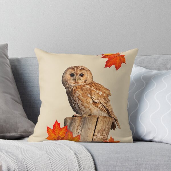 Item preview, Tawny Owl, I don't give a hoot design designed and sold by LBWildArt.