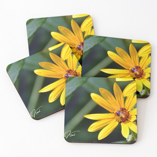 Item preview, A Bee and a Flower designed and sold by Elisabeth Kasal.