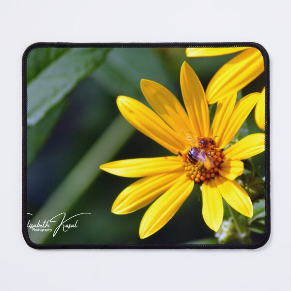 Item preview, A Bee and a Flower designed and sold by Elisabeth Kasal.