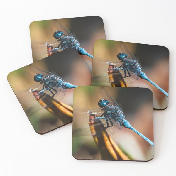 Item preview, Blue Dragonfly Macro designed and sold by PhotosBySara.