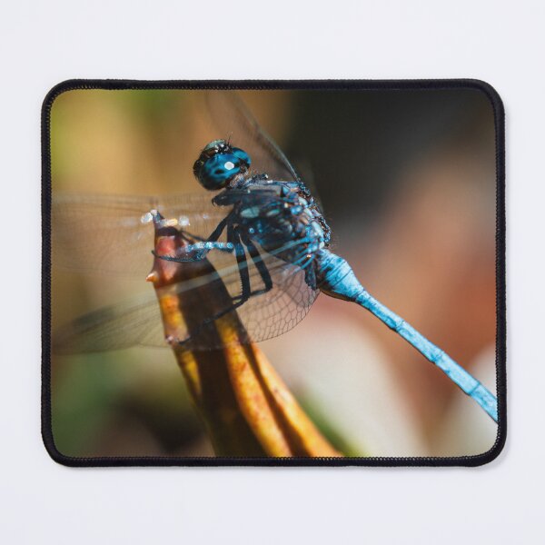 Item preview, Blue Dragonfly Macro designed and sold by PhotosBySara.