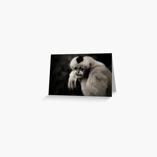 White Cheeked Gibbon Greeting Card