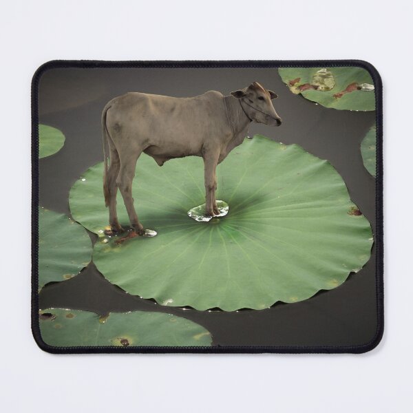 Item preview, cow on a lily pad - surreal designed and sold by Jenzer83.