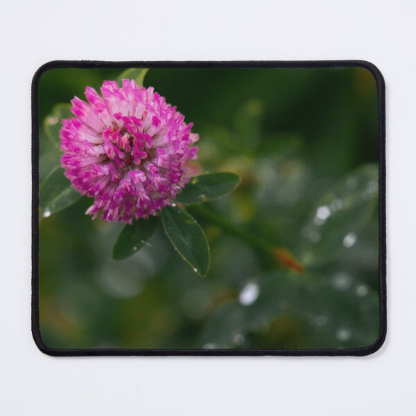 Item preview, Pink flower at green grass designed and sold by DPVisualsLV.