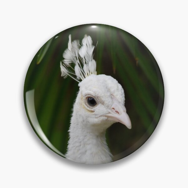 Item preview, Elegant White Peacock designed and sold by richardbryce.
