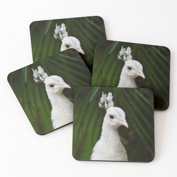 Item preview, Elegant White Peacock designed and sold by richardbryce.