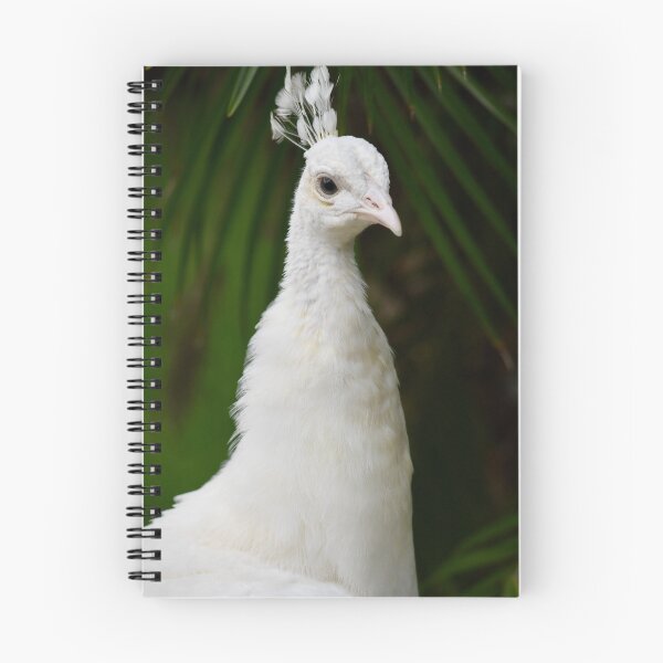 Item preview, Elegant White Peacock designed and sold by richardbryce.