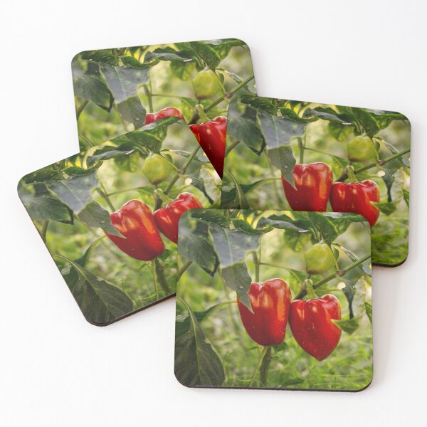 Item preview, Ambiente acogedor de jardín con pimientos rojos maduros en el arbusto. designed and sold by RinaZik.