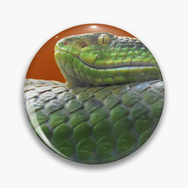 Artikelvorschau, Grüne Python zusammengerollt in einem Ast entworfen und verkauft von DameArte.