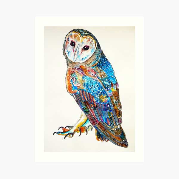 Eastern Barn Owl Art Print