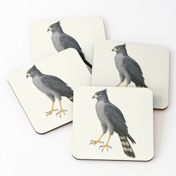 Item preview, African Harrier Hawk African Savana Digital Illustration designed and sold by kakarikihill.