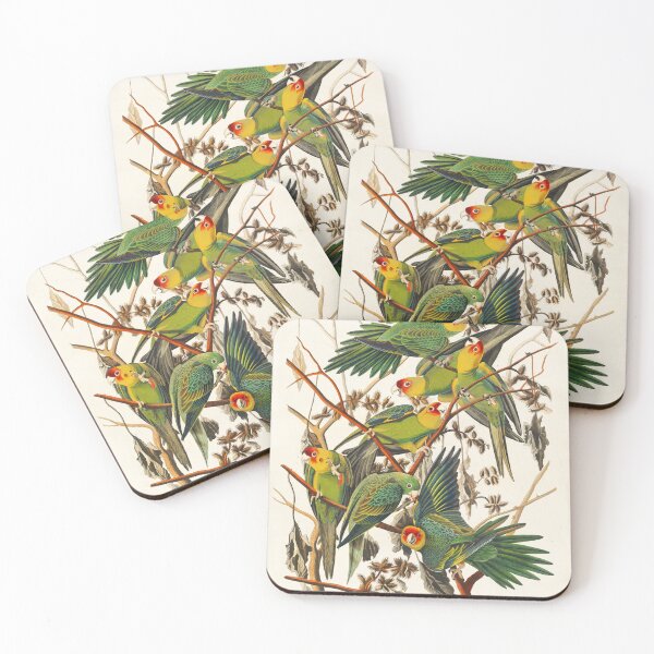 Item preview, Carolina Parrot from Birds of America (1827) by John James Audubon designed and sold by IslandArt.