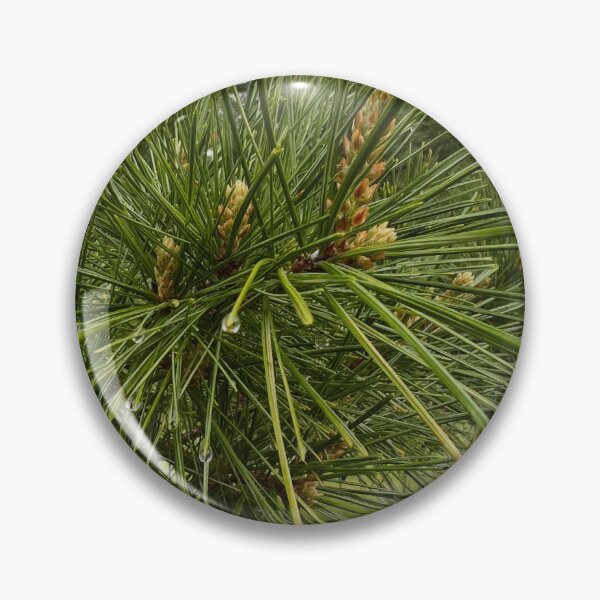 Item preview, Pine needles designed and sold by Beyondadoubt.