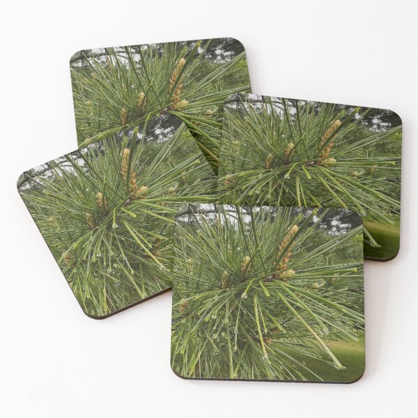 Item preview, Pine needles designed and sold by Beyondadoubt.