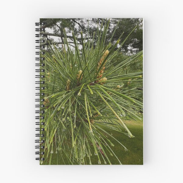 Item preview, Pine needles designed and sold by Beyondadoubt.