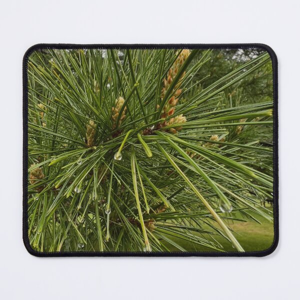 Item preview, Pine needles designed and sold by Beyondadoubt.