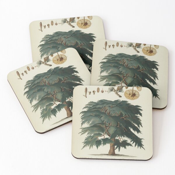 Item preview, Cedar-Tree.-Botanical-Study designed and sold by JurgenGotts.