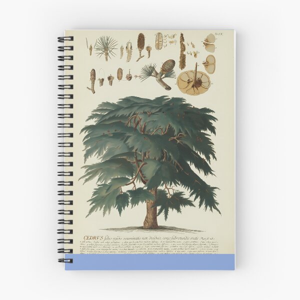 Item preview, Cedar-Tree.-Botanical-Study designed and sold by JurgenGotts.