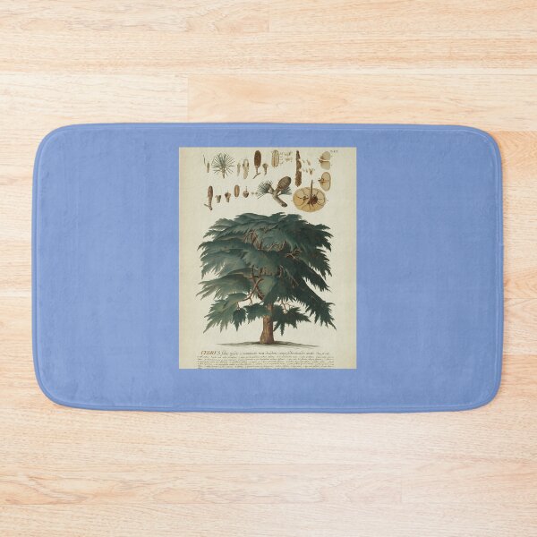 Item preview, Cedar-Tree.-Botanical-Study designed and sold by JurgenGotts.
