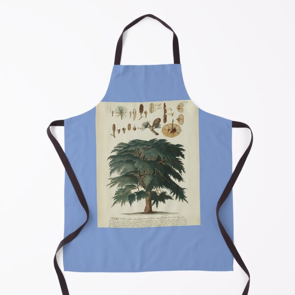 Item preview, Cedar-Tree.-Botanical-Study designed and sold by JurgenGotts.