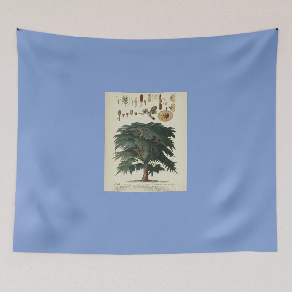 Item preview, Cedar-Tree.-Botanical-Study designed and sold by JurgenGotts.