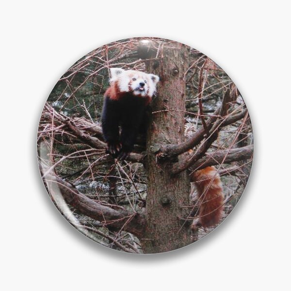 Item preview, Red Panda Tongue designed and sold by Herr_Little_Things.
